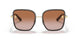 148213 - Brown - Brown Gradient