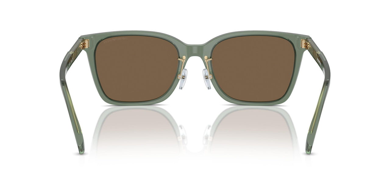 536273 - Green - Dark Brown