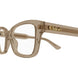 005 - Brown - Transparent
