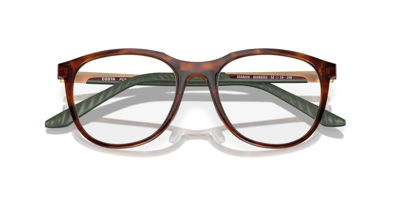 802802 - Tortoise