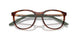 802802 - Tortoise
