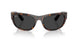 902/48 - Tortoise - Polar Black