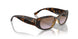 W65668 - Brown - Violet Gradient Brown