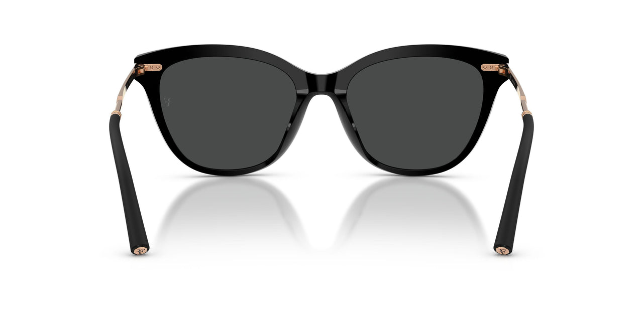 100587 - Black - Dark Slate
