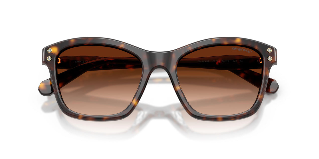 100274 - Tortoise - Gradient Brown