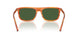 348371 - Brown - Dark Green