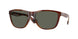 912406 - Tortoise - Gray