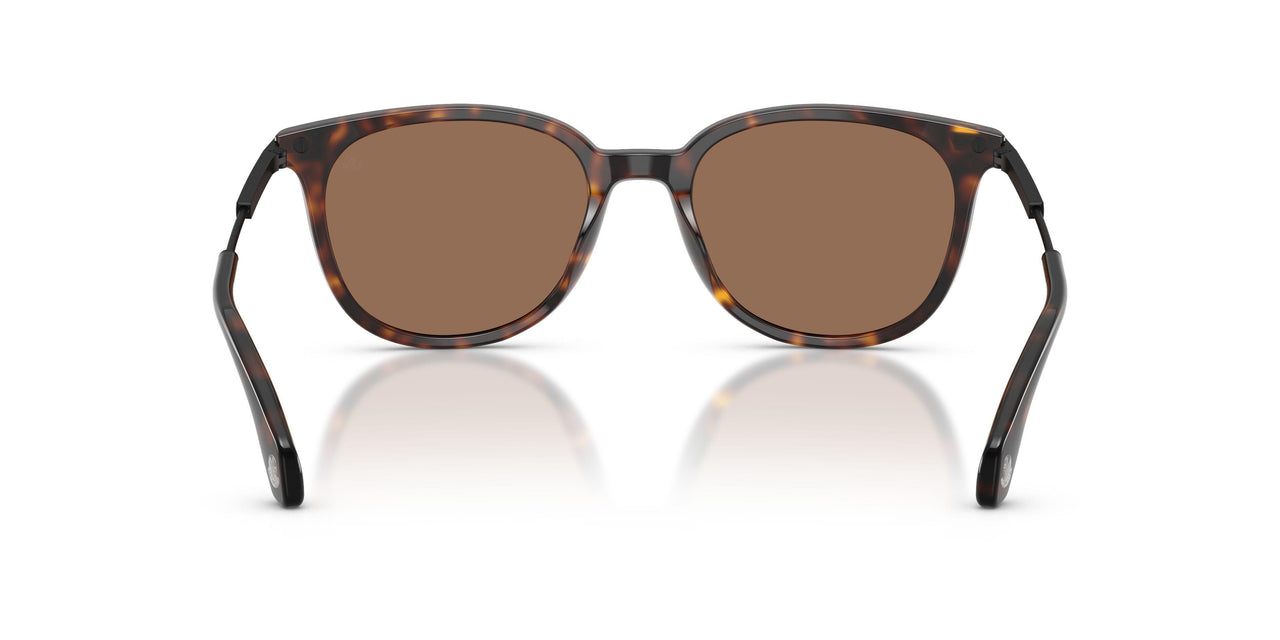 300273 - Tortoise - Solid Brown