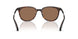 300273 - Tortoise - Solid Brown