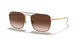 905513 - Brown - Brown Gradient Dark Brown