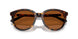 300673 - Tortoise - Brown Solid