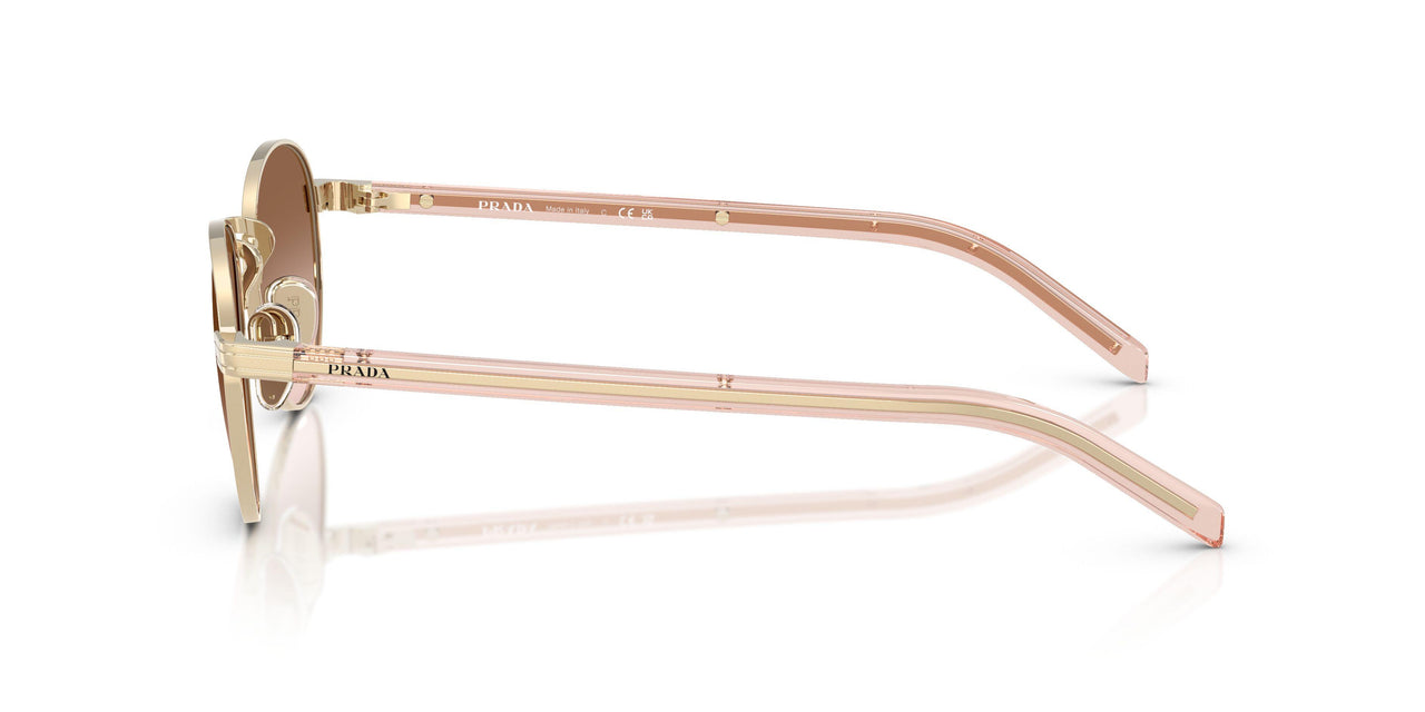ZVN0A6 - Gold - Brown Gradient