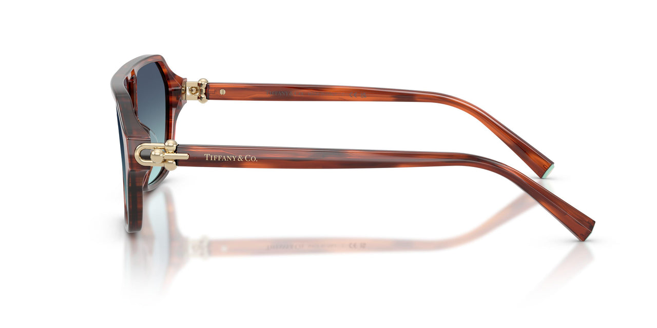 84409S - Tortoise - Gradient Blue