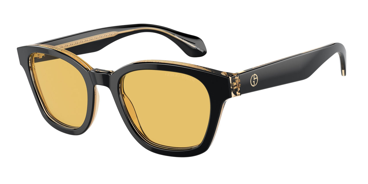 Giorgio Armani 8207 Sunglasses