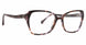 Trina Turk TTANITTA Eyeglasses