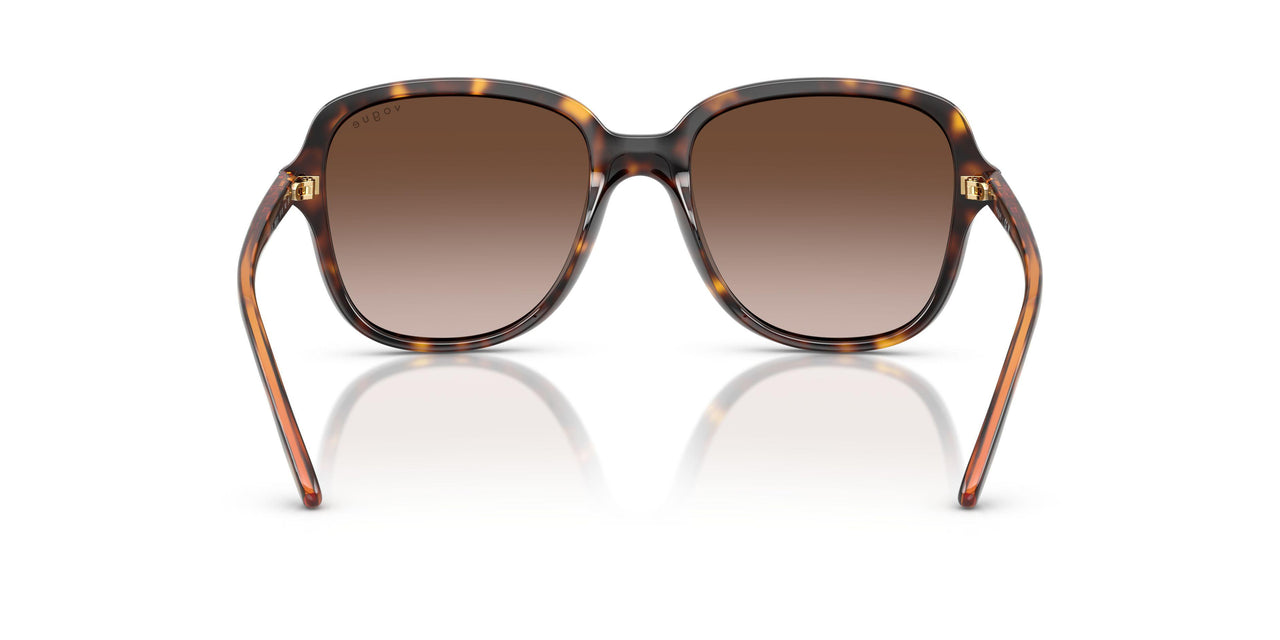 W65613 - Brown - Brown Gradient
