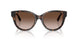 196413 - Tortoise - Dark Tortoise