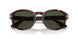 24/31 - Havana - Green