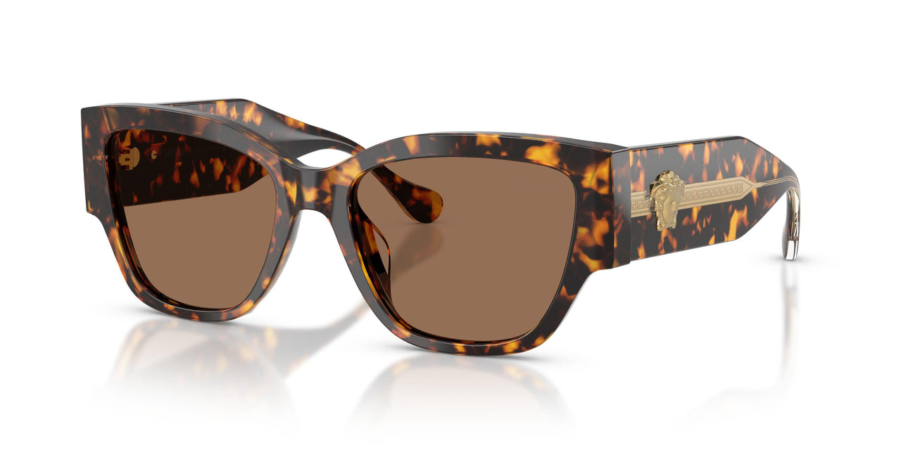 551473 - Tortoise - Dark Brown