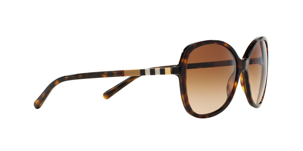 300213 - Havana - Brown Gradient