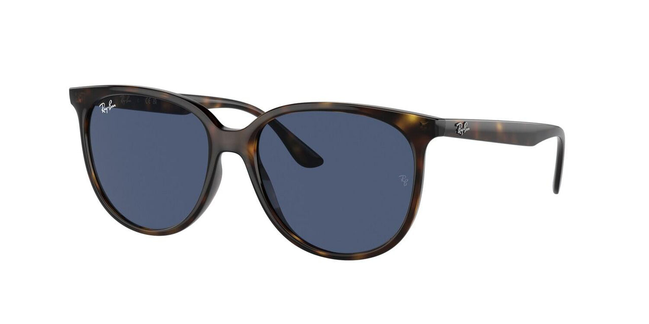 Ray-Ban 4378 Sunglasses