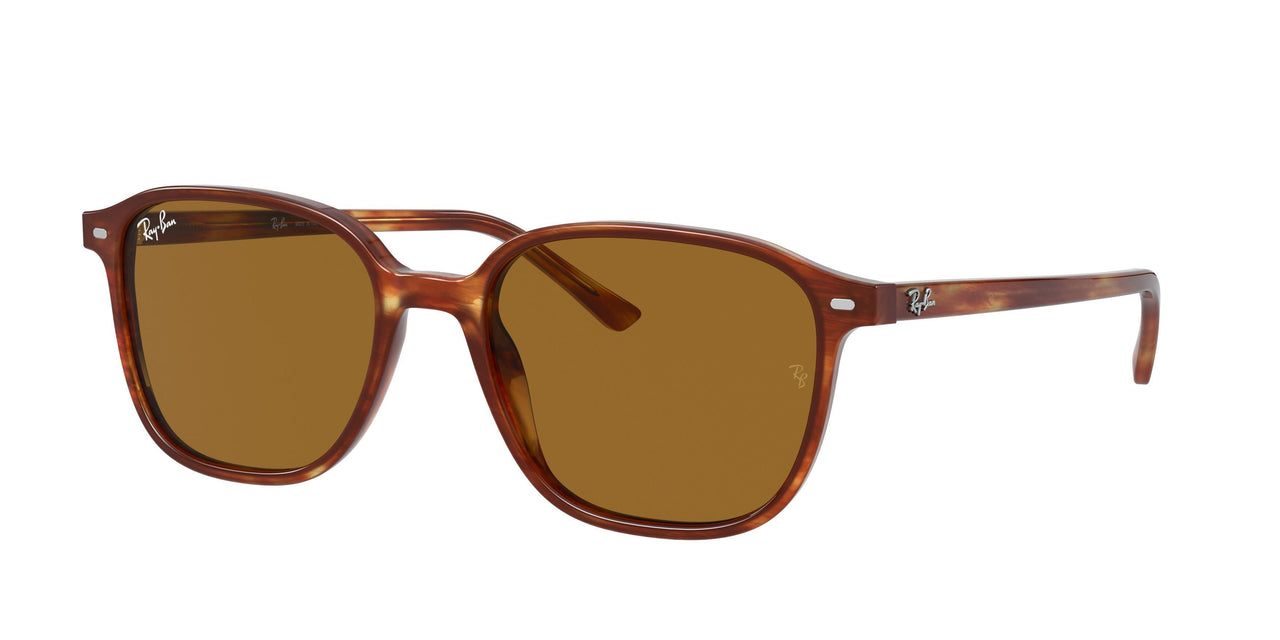 Ray-Ban Leonard 2193 Sunglasses