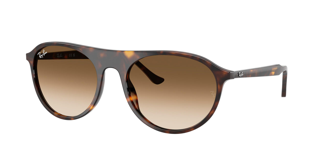 Ray-Ban 2215F Sunglasses