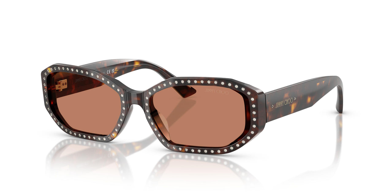 500273 - Tortoise - Brown