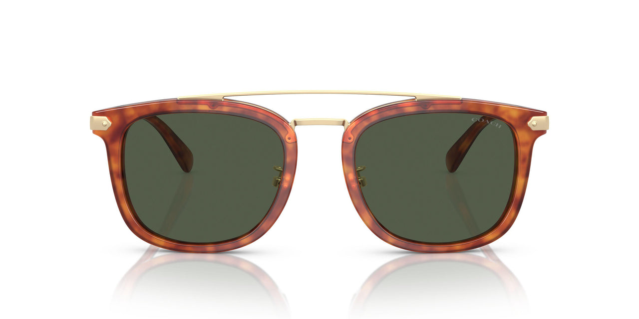 577482 - Tortoise - Army Green