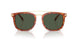 577482 - Tortoise - Army Green