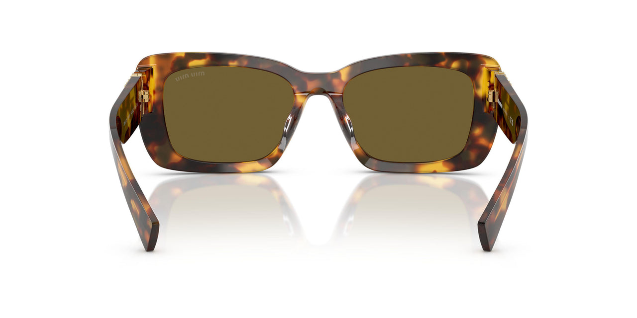 14L09Z - Tortoise - Dark Brown
