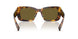 14L09Z - Tortoise - Dark Brown