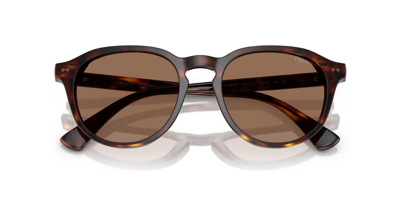 613773 - Tortoise - Dark Brown