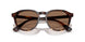 613773 - Tortoise - Dark Brown