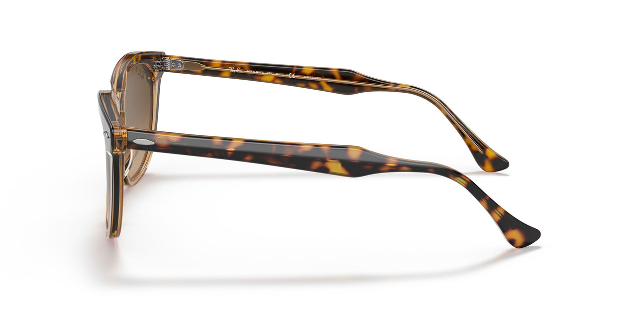 1292M2 - Havana - Brown Gradient Polar