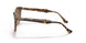 1292M2 - Havana - Brown Gradient Polar