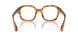 001 - Brown