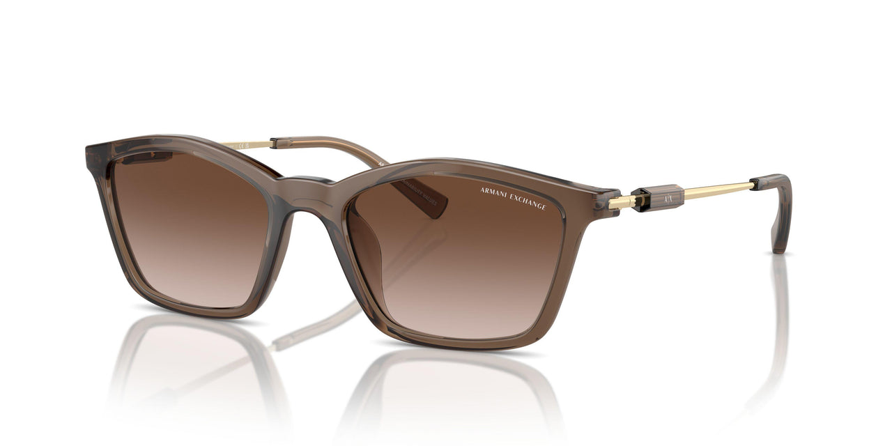834913 - Brown - Gradient Brown
