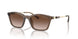 834913 - Brown - Gradient Brown