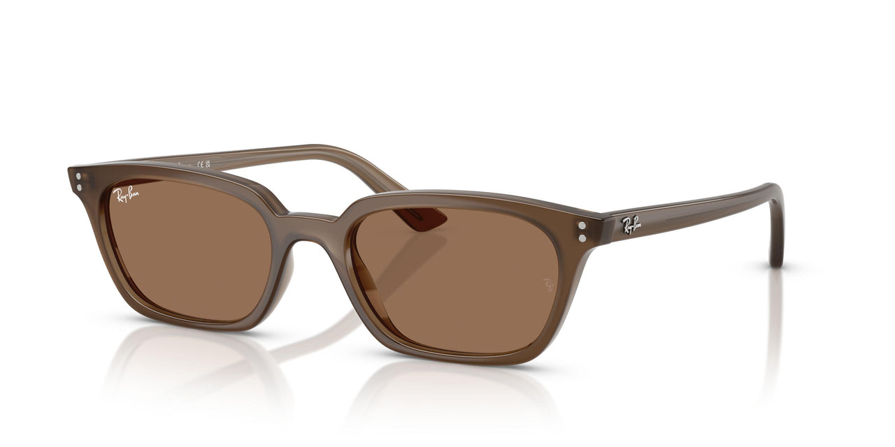 677973 - Brown - Dark Brown