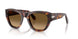 24/M2 - Tortoise - Brown Gradient Brown - Polar