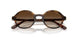 W65613 - Brown - Gradient Brown