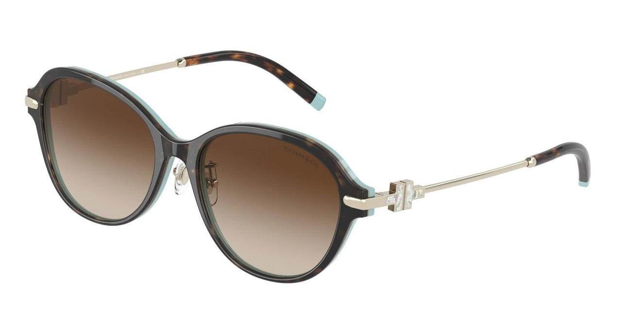 81343B - Havana - Brown Gradient