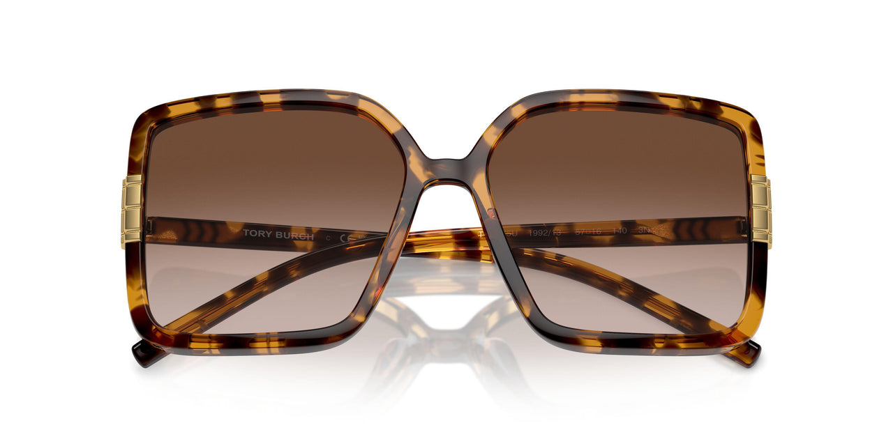 199213 - Tortoise - Light Brown Gradient