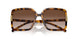 199213 - Tortoise - Light Brown Gradient