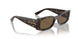 W65673 - Brown - Dark Brown