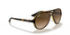 710/51 - Havana - Crystal Brown Gradient
