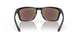 944834 - Black - Prizm Sapphire Polarized