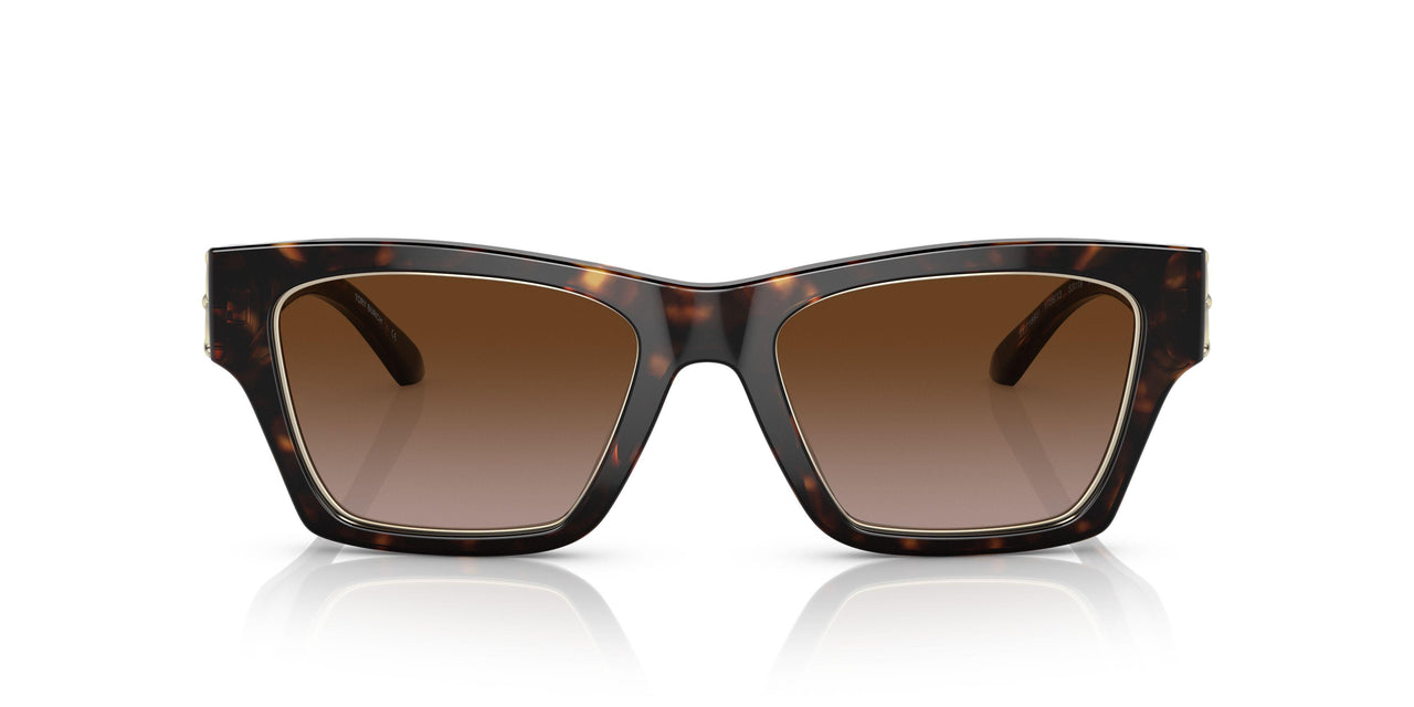 172813 - Havana - Brown Gradient