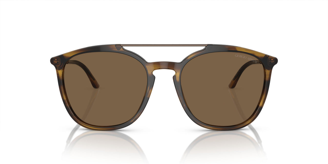 603773 - Tortoise - Dark Brown